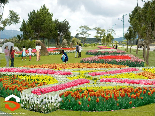 Da Lat with four big festivals and events